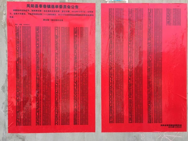 枣巷公布选民.jpg