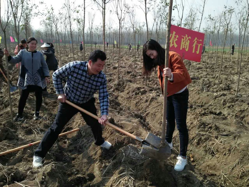 人大代表植树.jpg