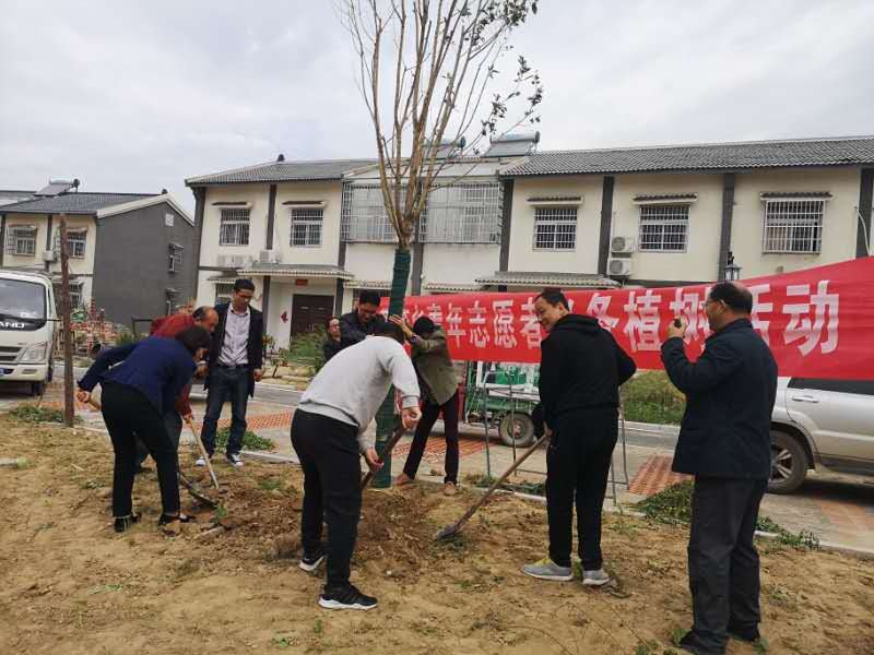 植树2.jpg