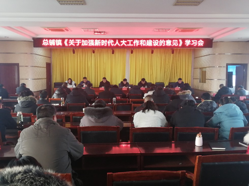 总铺镇组织人大代表学习《关于加强新时代人大工作和建设的意见》文件精神.jpg