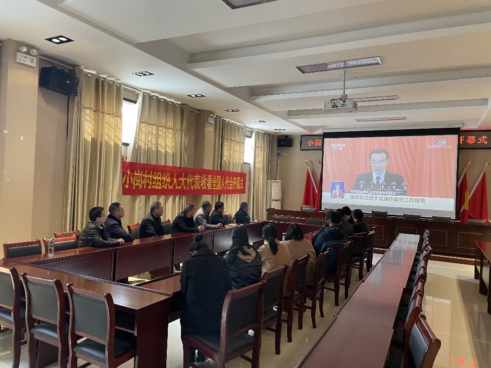 小岗村组织人大代表收看全国人代会开幕式.jpg