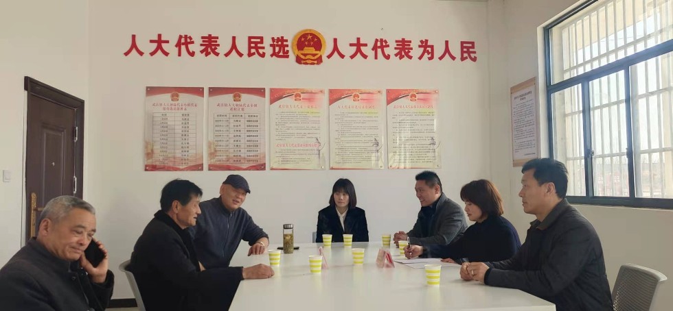 凤阳县人大代表王世芸接待访民.jpg