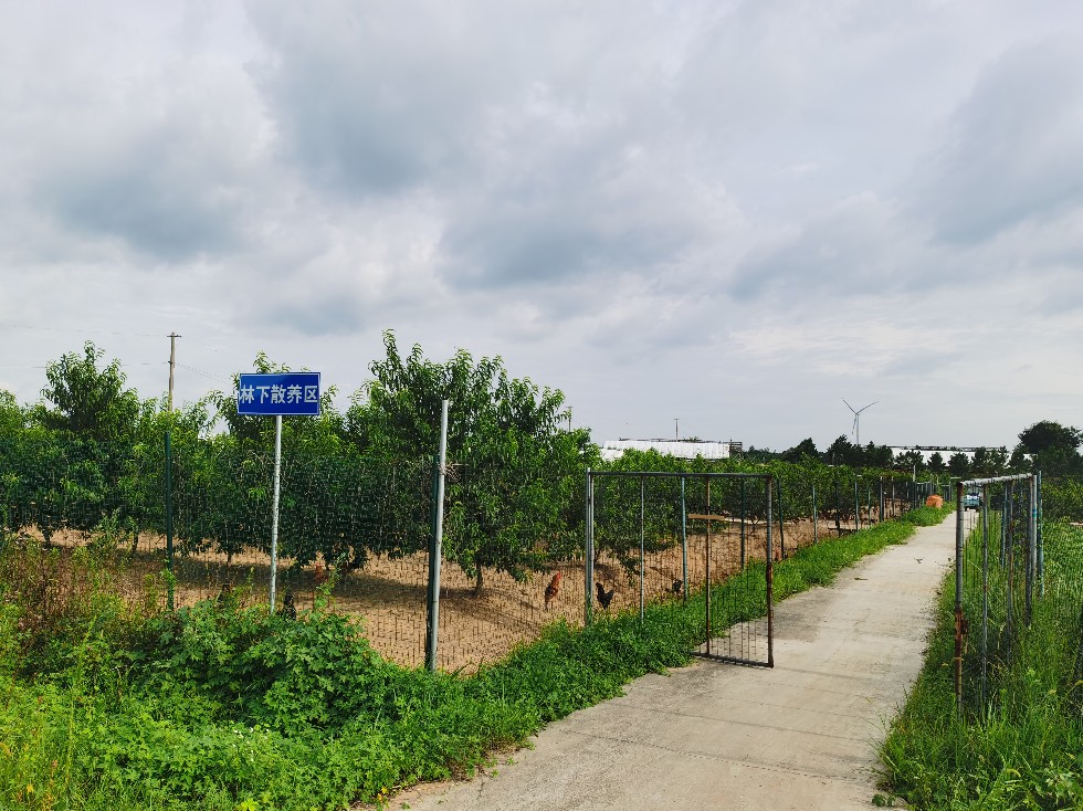 小溪河谷生态农业养殖基地.jpg