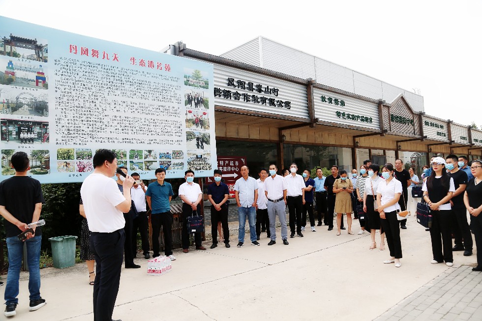人大代表现场教学，参观乡村振兴产业示范园——凤阳县九天生态园_proc.jpg