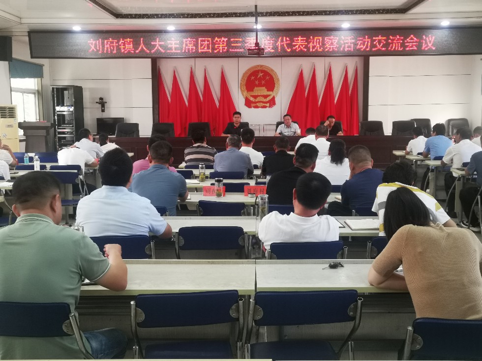 刘府镇人大3.jpg