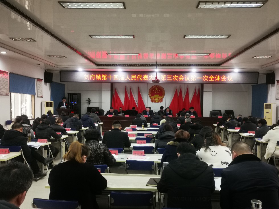 刘府镇十四届人大三次会议1.jpg