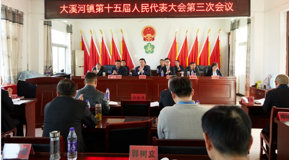 大溪河镇第十五届人民代表大会第三次会议2.png