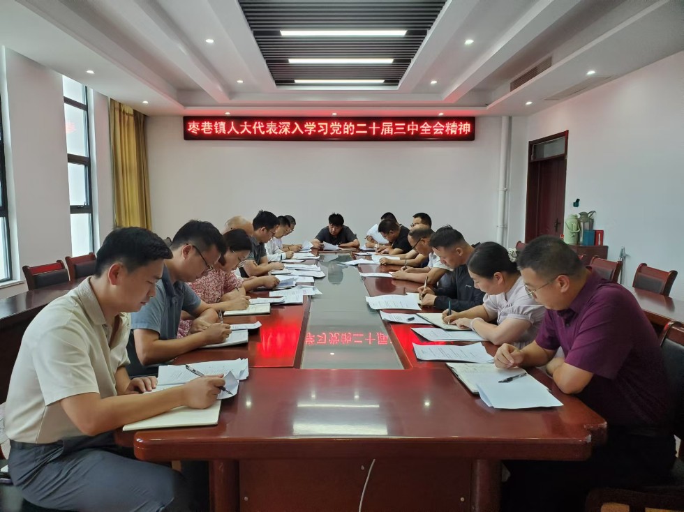 代表学习二十届三中全会精神.jpg